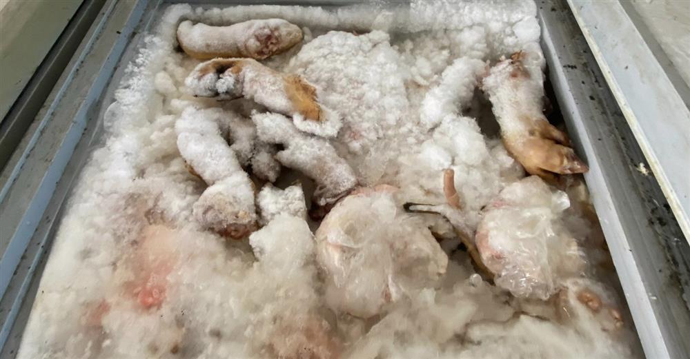 Thái Nguyên: Ngăn chặn kịp thời gần 3 tấn thịt lợn không đảm bảo ATTP